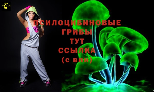 сатива Белокуриха