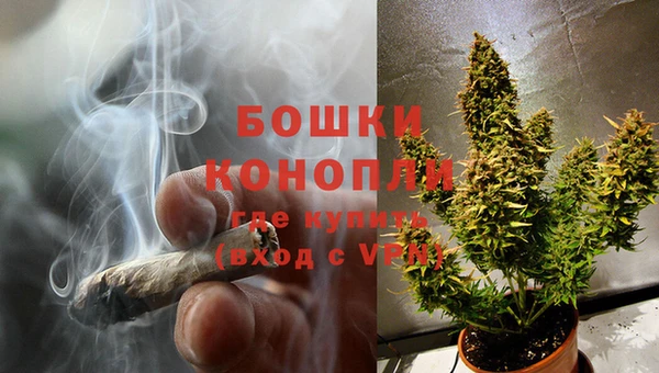 сатива Белокуриха