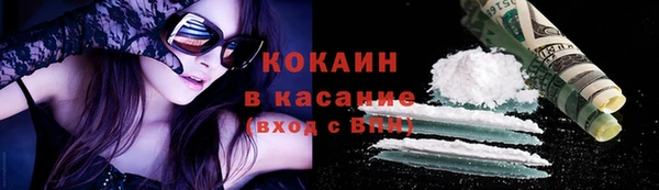 стафф Архангельск