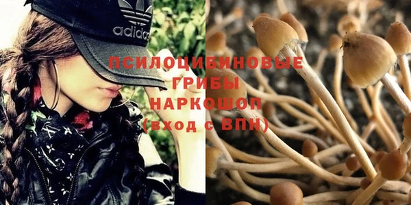 бутират Балахна