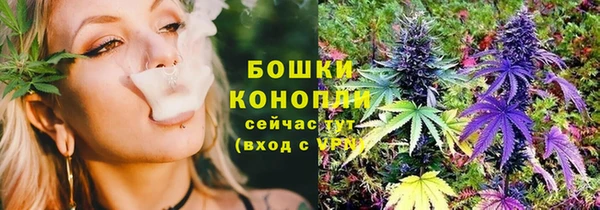 гидра Сосновка