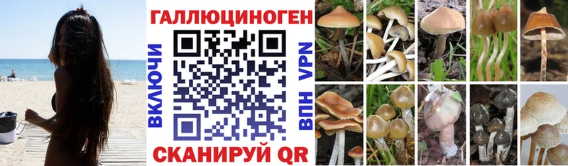 Галлюциногенные грибы мухоморы  наркотики  Кущёвская 