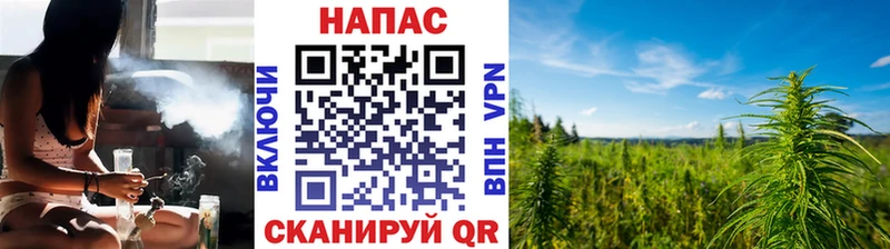 где продают   Кущёвская  Шишки марихуана Ganja 